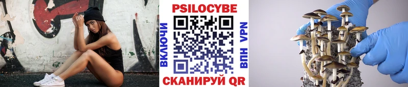 Псилоцибиновые грибы мицелий  Нягань 